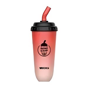 WDG 미니 컵 일회용 Vape 5000 퍼프 - 수박 얼음