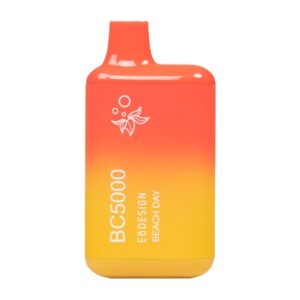 ELF BAR BC5000 Disposable Beach Day 5000 퍼프 13ml