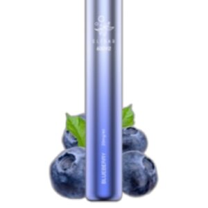 ELF BAR 600V2 Disposable 600 퍼프 Blueberry