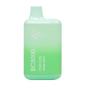 ELF BAR BC5000 Disposable Miami Mint 5000 퍼프